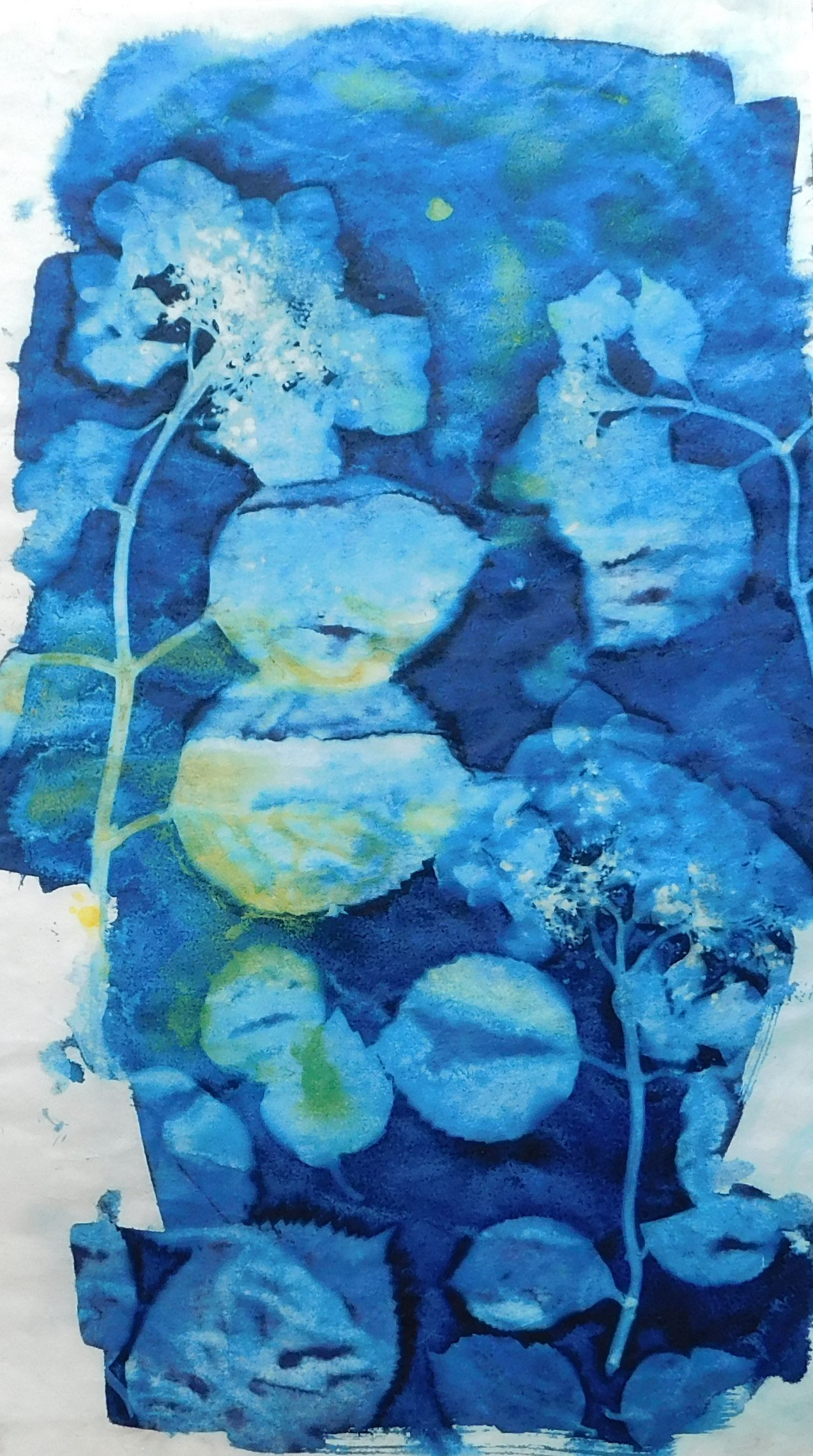 30 X 50 VEGETAL 3 Pro