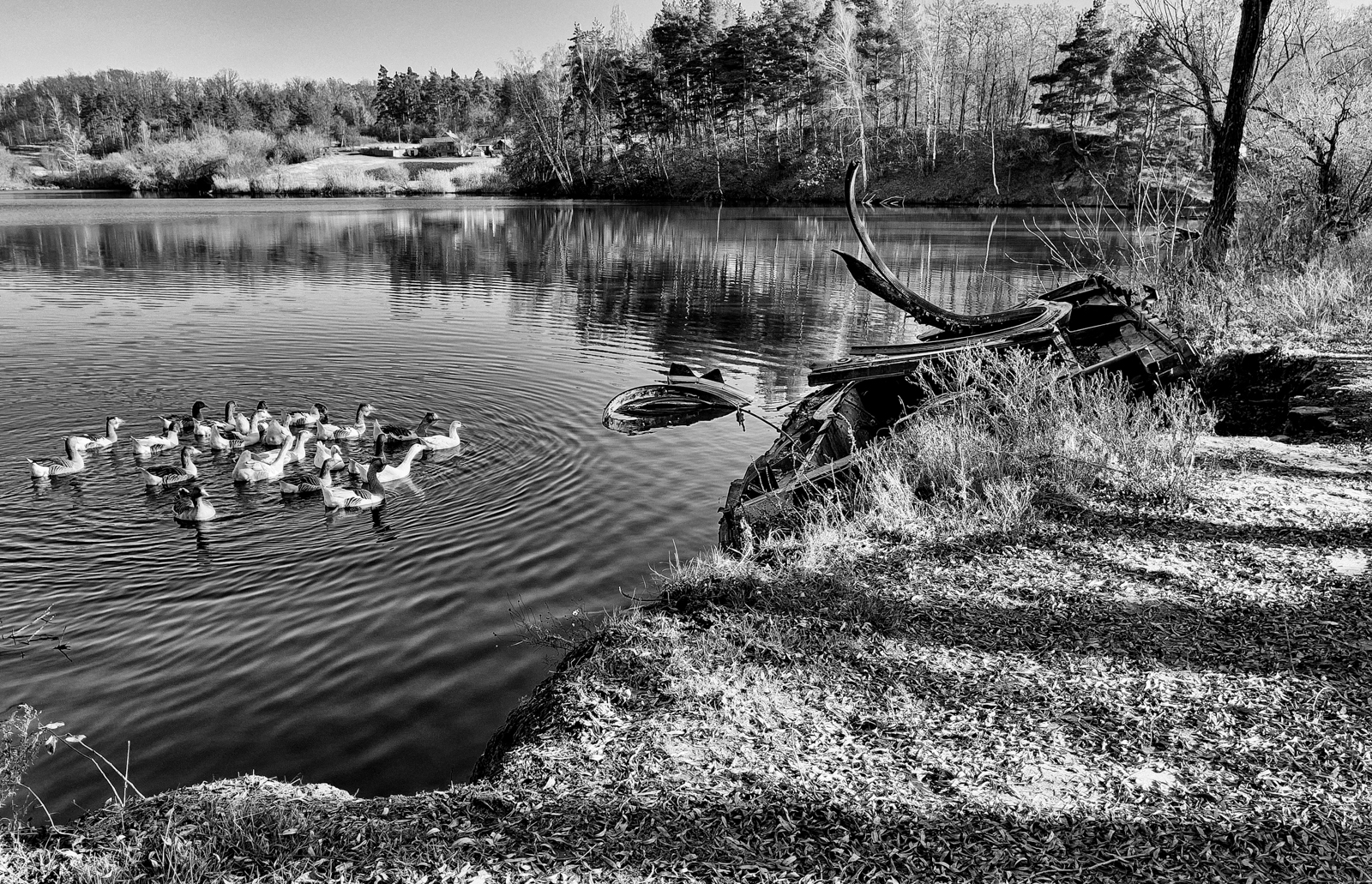 Sunny Oblast, Ukraine by Chris McIntosh