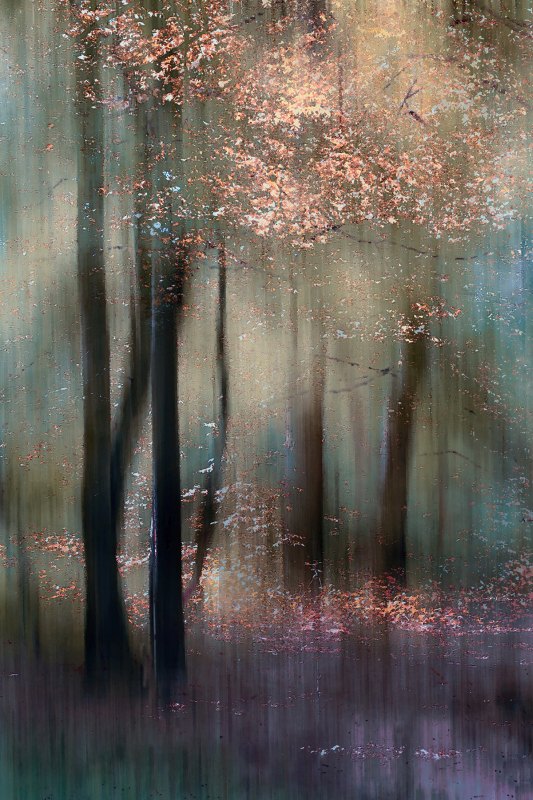 Magical Woodland By Valerie Walker, ARPS