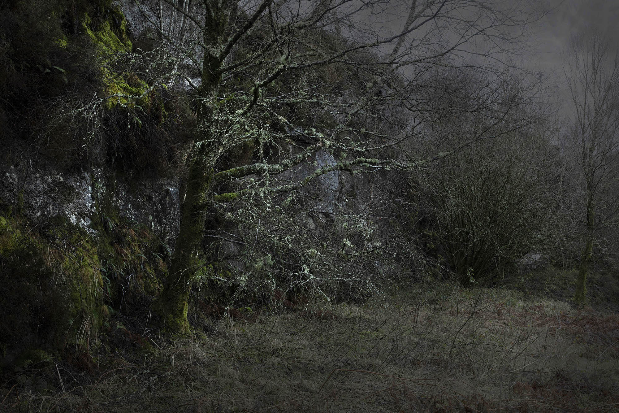 LA Dec 19 IPE 164 Shortlisted