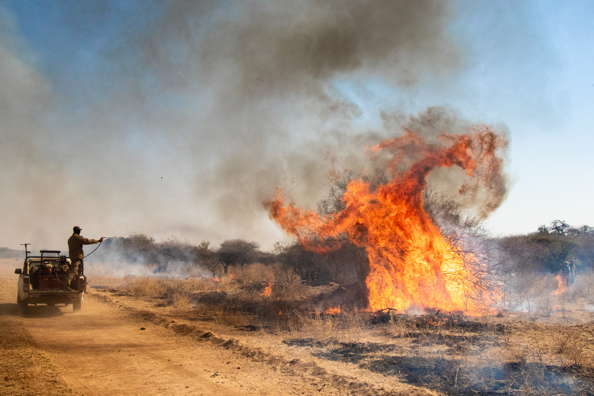 Marshall_Gary_Burning Bush, South Africa_02