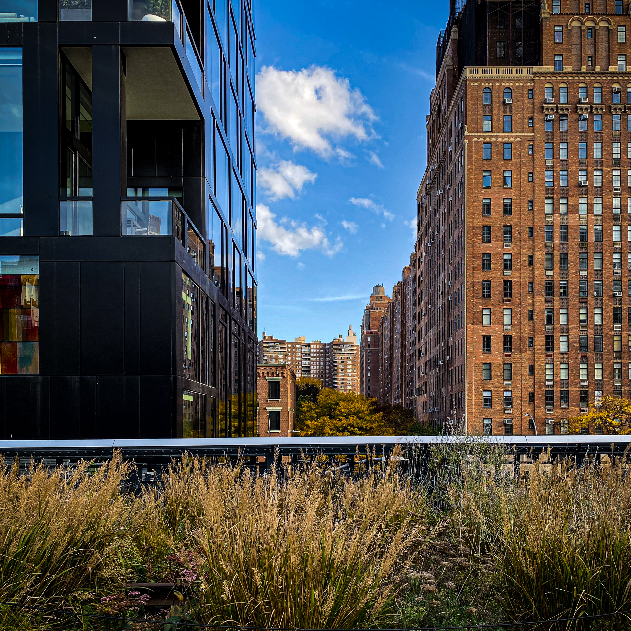 5540681 Trish Crawford Highline View