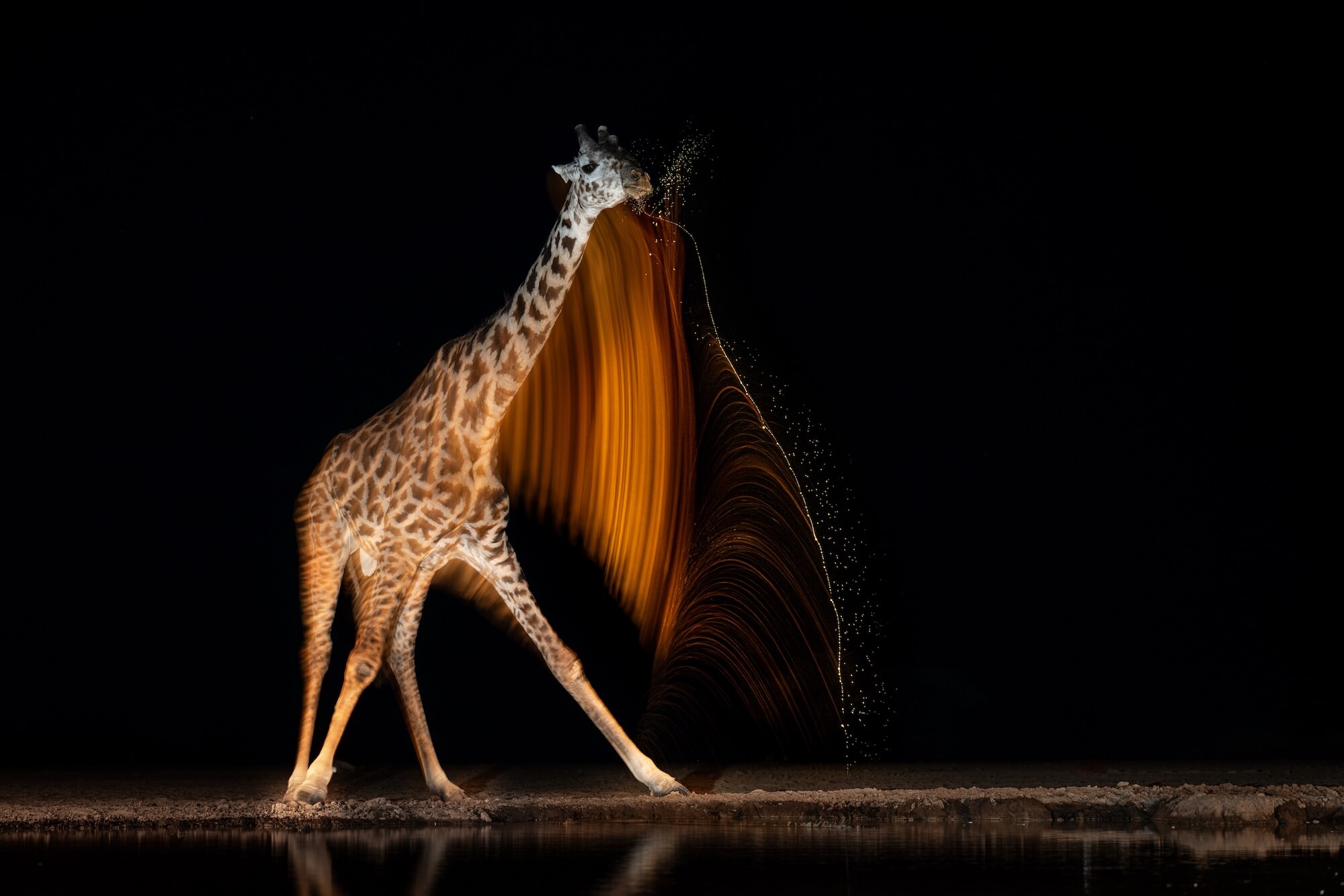 Gurcharan Roopra A Brushstroke Of Gold