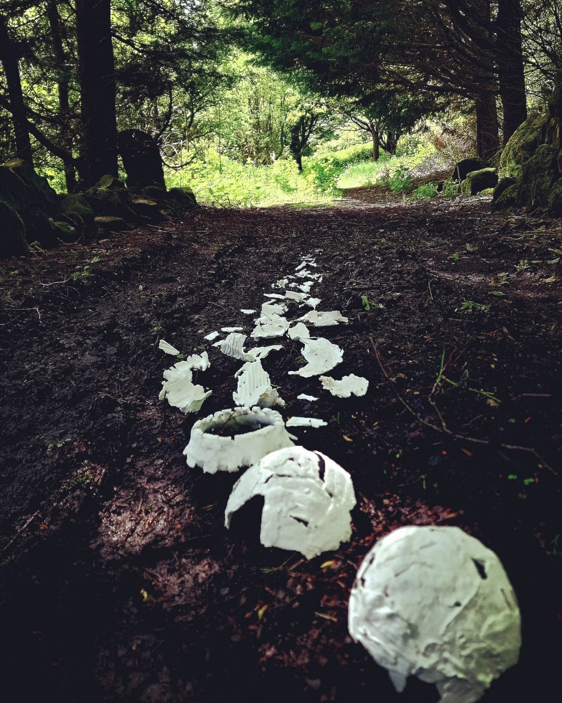 5577860 Rosalind Lowry Private Land