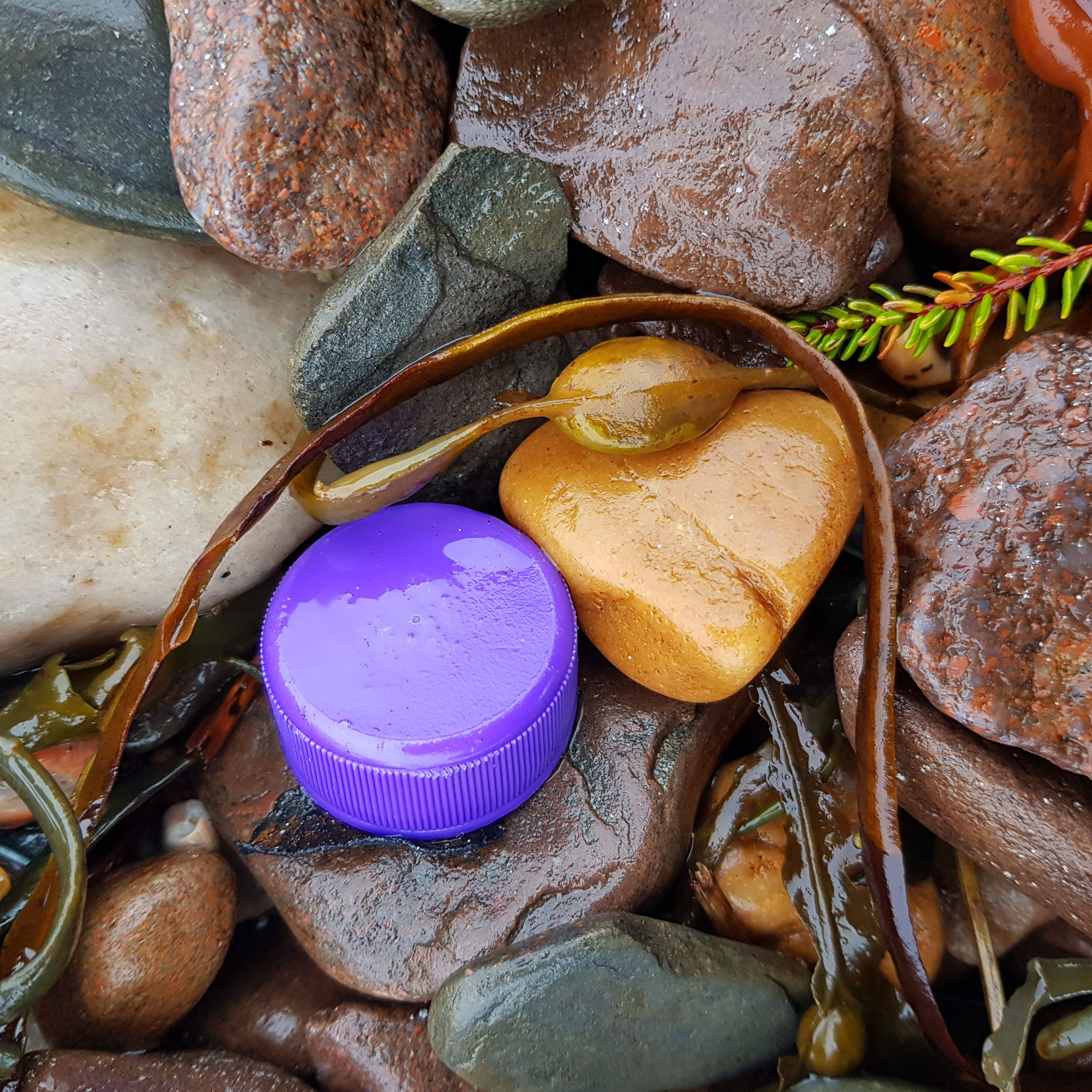 The Good Practice Guide for Landscape Photographers By Mark Reeves2 