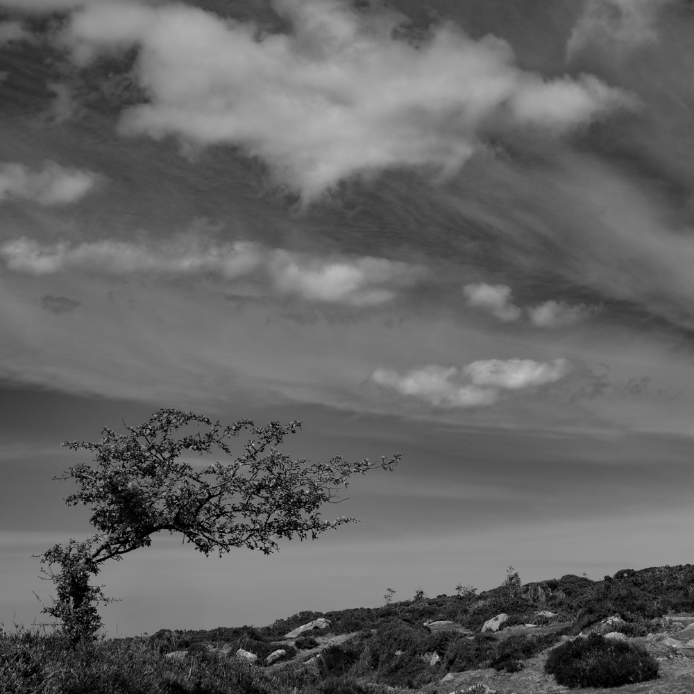 Escape To Haytor, N Dutt