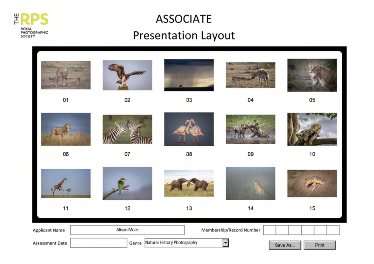 My Journey to ARPS Distinction by Alison Mees, ARPS