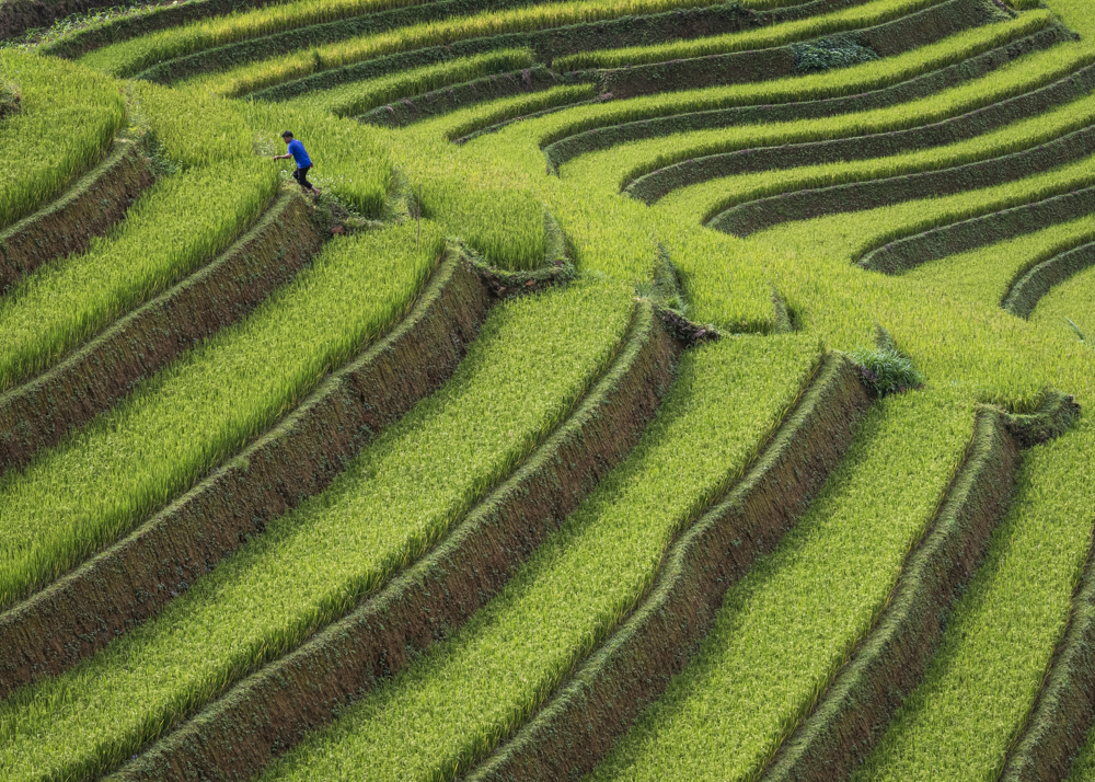 Late For Work, Vietnam, by Elizabeth Roberts