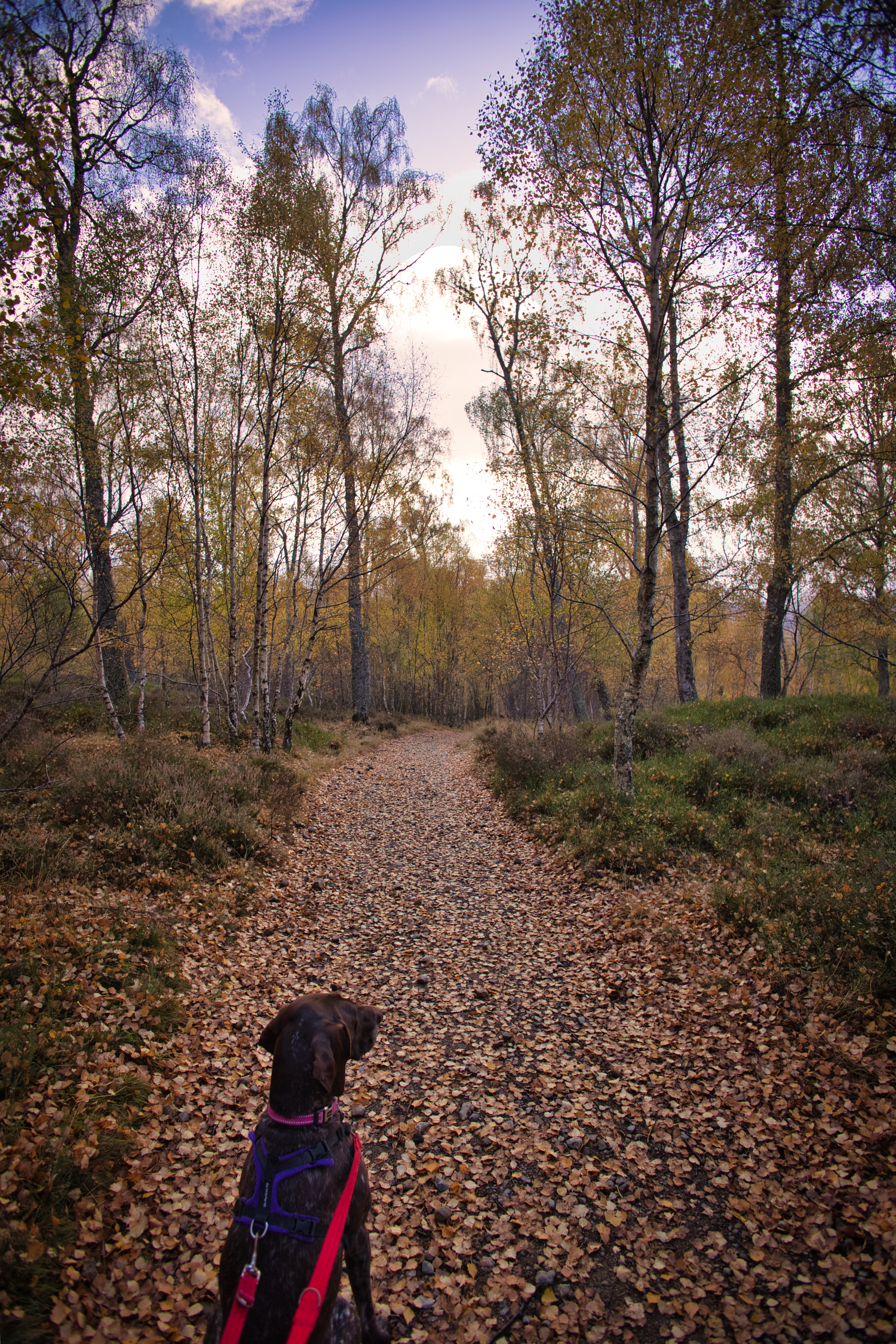 Jura - Samantha Dearlove