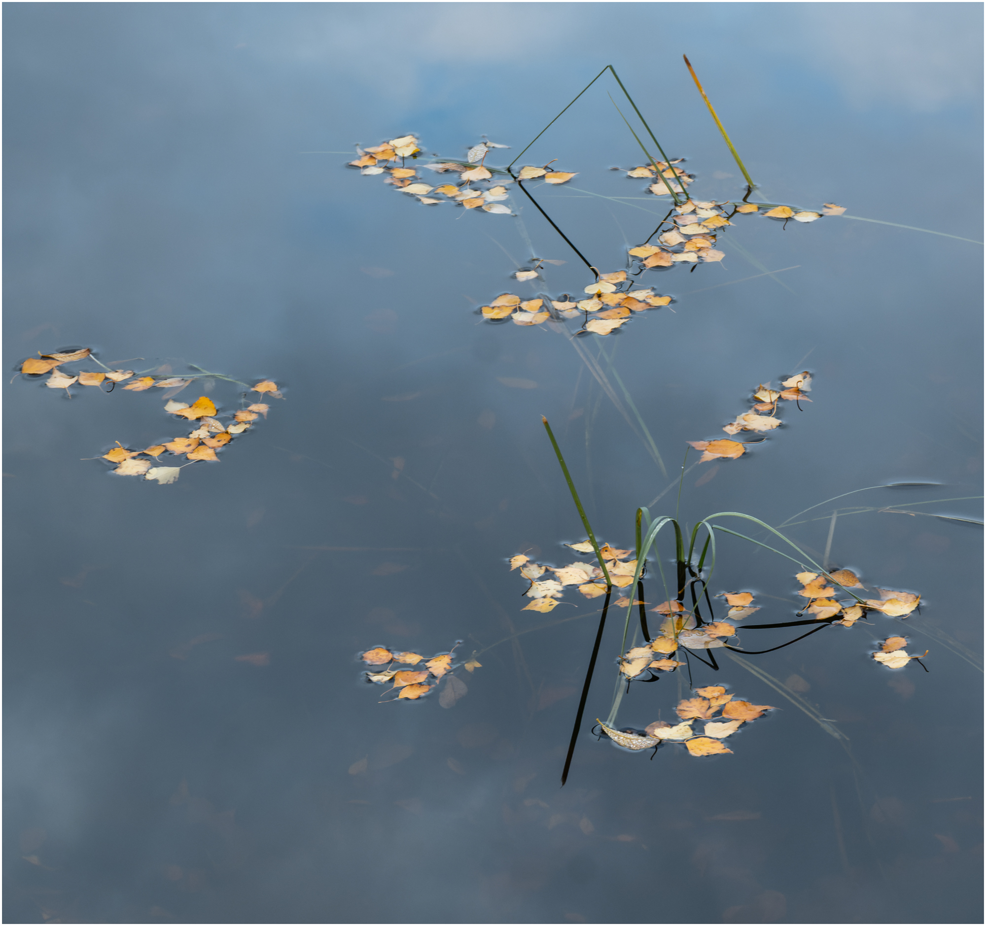 3rd Place – Sky Reflections with Leaves by Janet Lowe LRPS