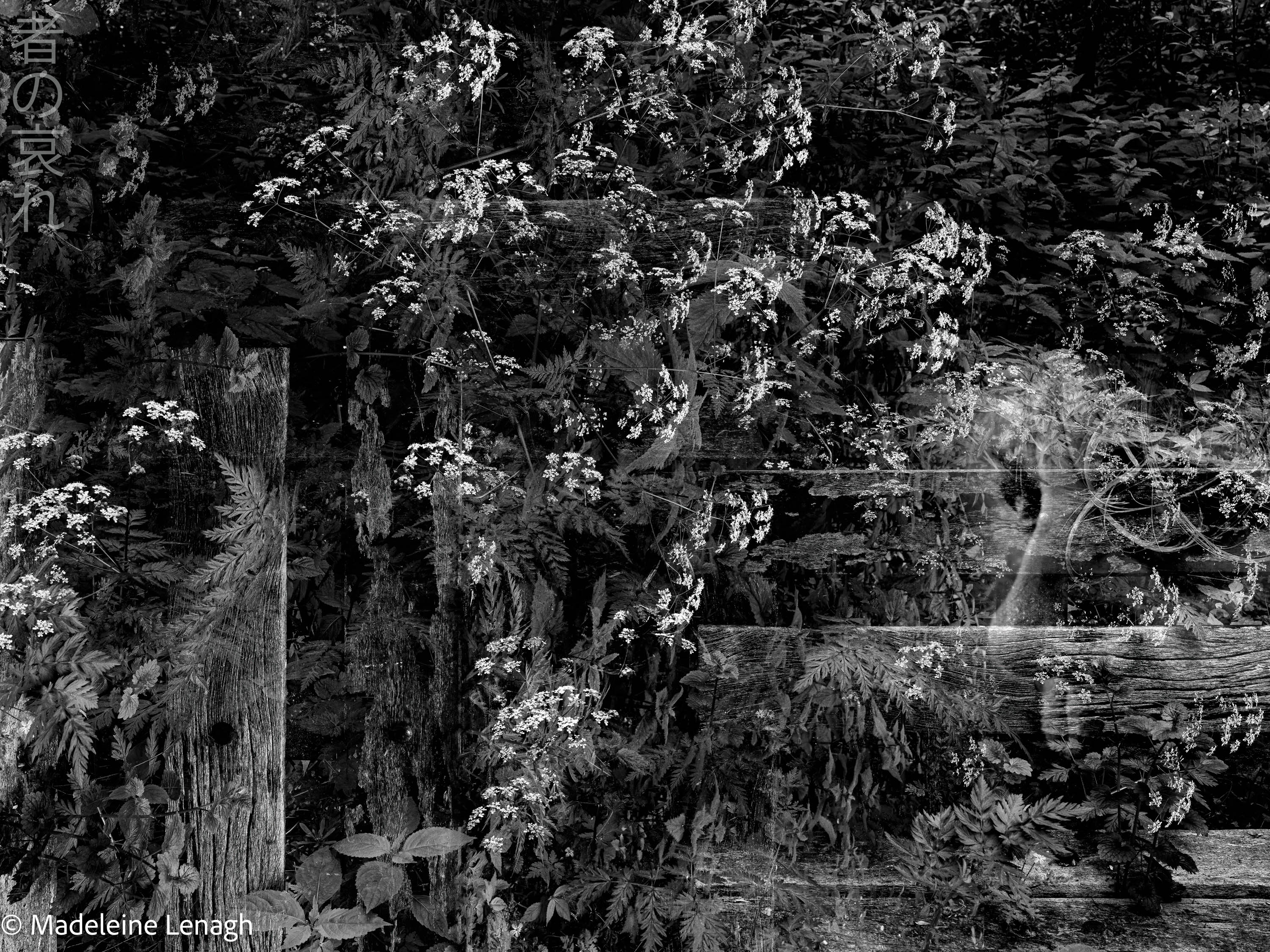 Madeleine Lenagh Self Portrait Mono No Aware