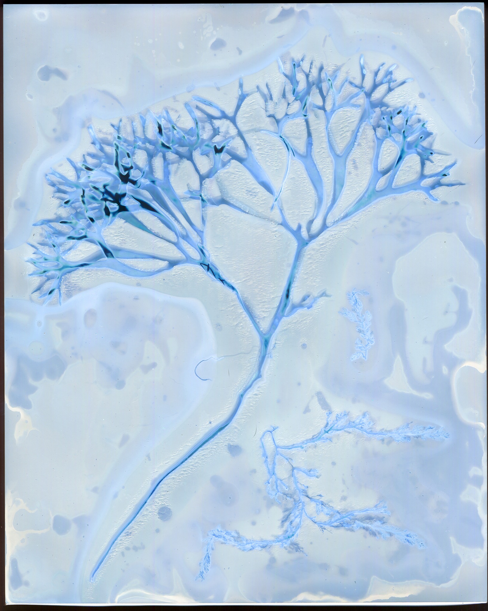 470671264 1119892769501045 9186706606752360794 N