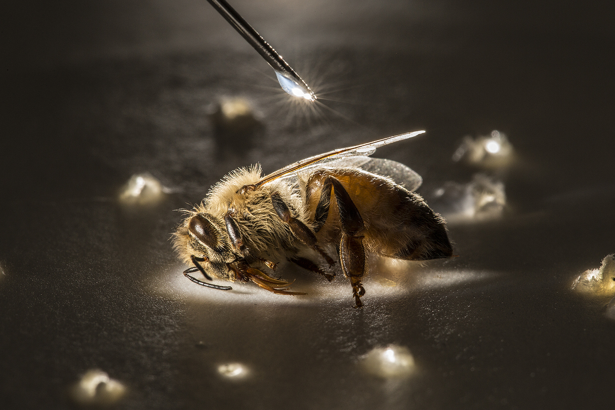 MM8241 140914 09364 Crop