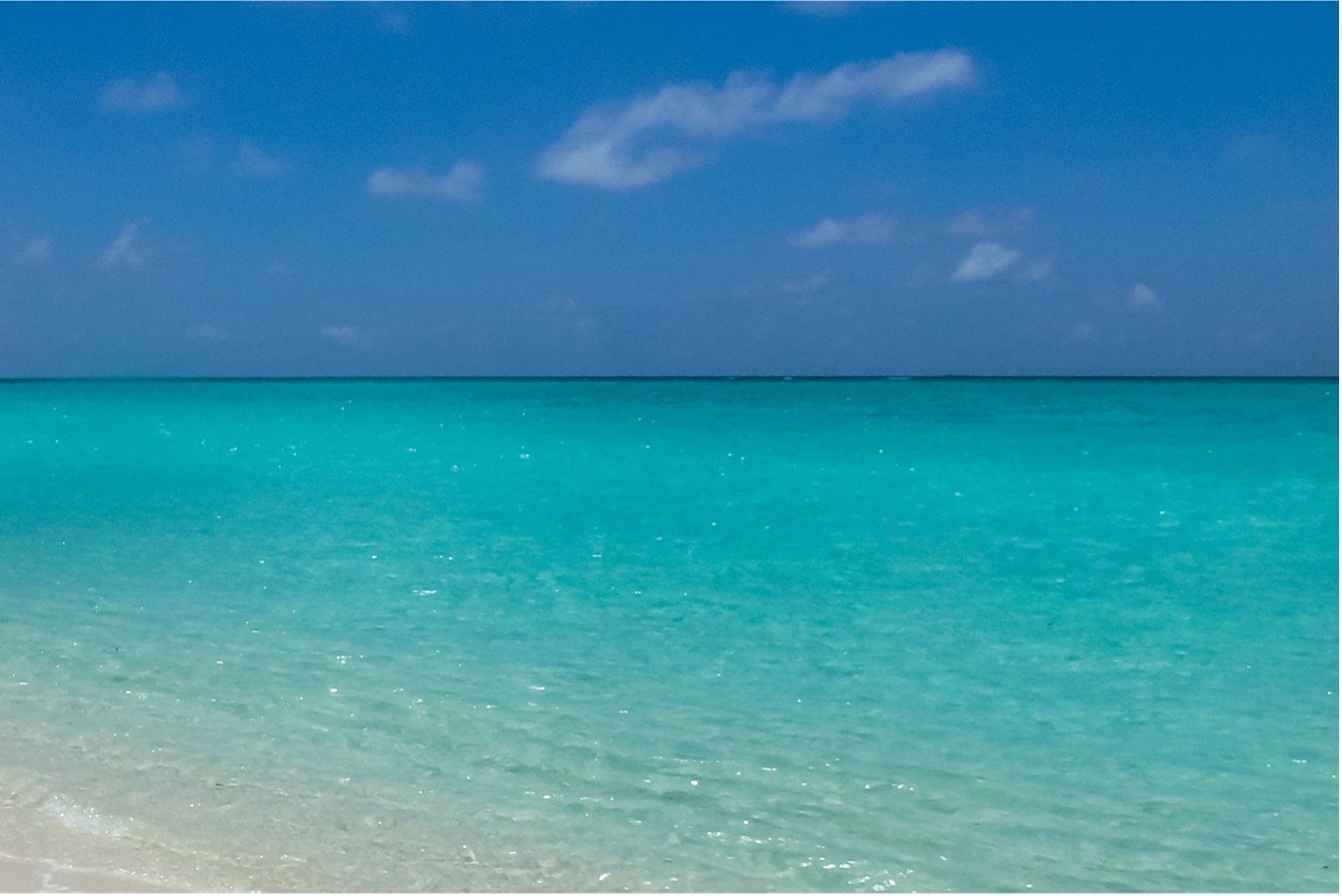 Heron Island