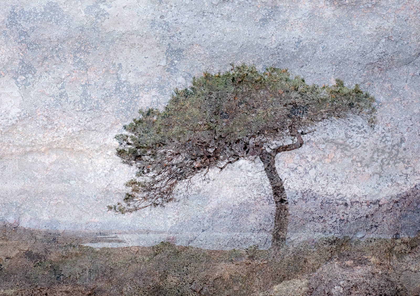 7 - Loch Maree by  Alan OBrien ARPS