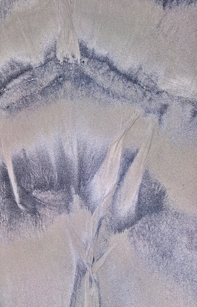 Sand Fans Lois Wakeman