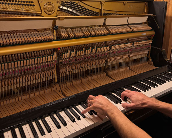 Harriet, Ringwood Junior School