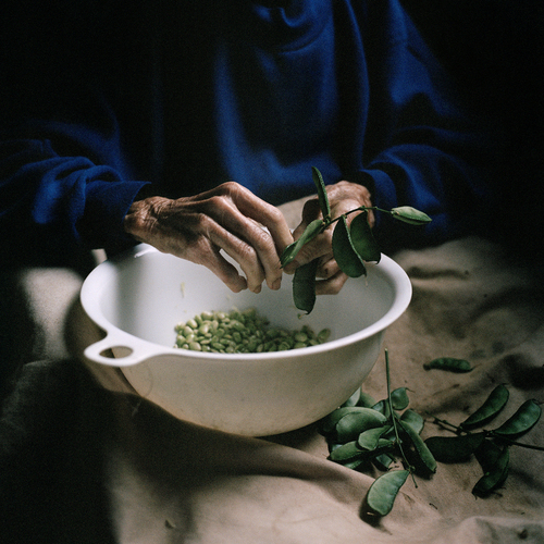 Bigfence The Devil Makes Work For Idle Hands Irma Christian