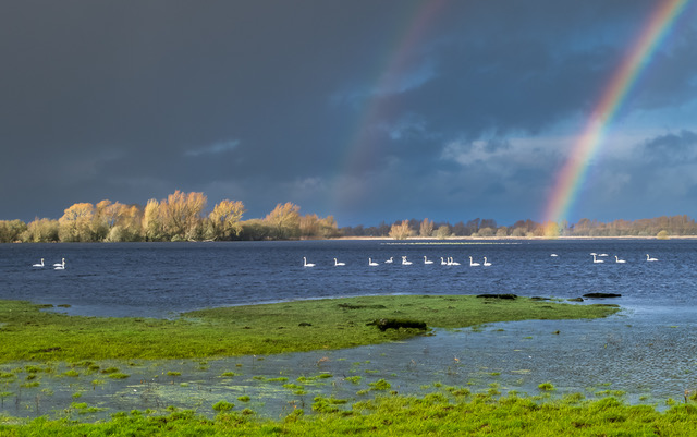 River Shannon, County Offaly, Ireland by Conor Donnelly