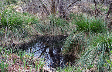 Gerry Phillipson ARPS Card 02