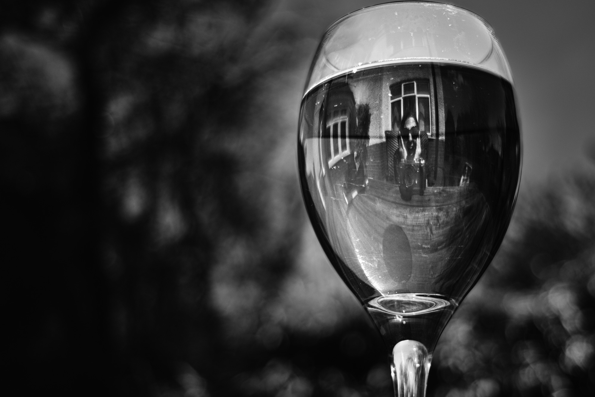 Garden Lockdown Selfie By Wendy G Davies