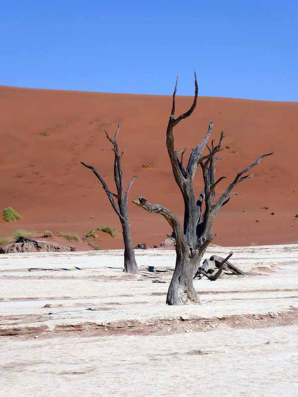 800P1120193deadvlei