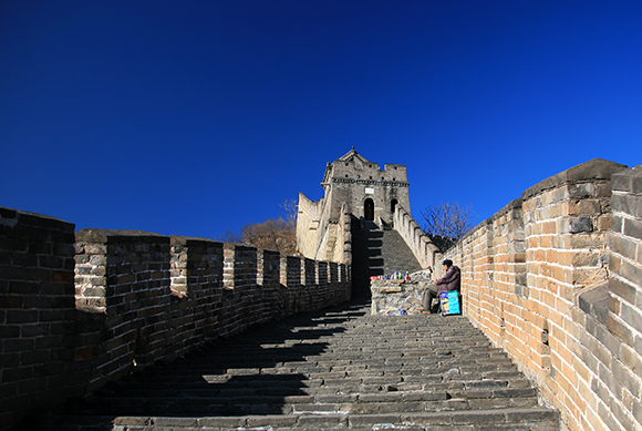 Steve Mcdonald Lonely Vendor