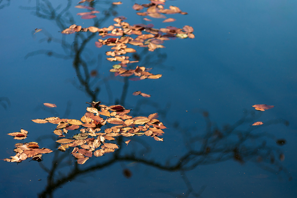 Burak Oguz LRPS DEPTH OF FIELD