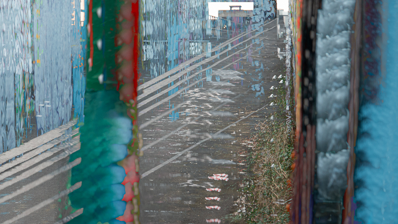 2606 David Harris Self Expression In The Desolate City For Web
