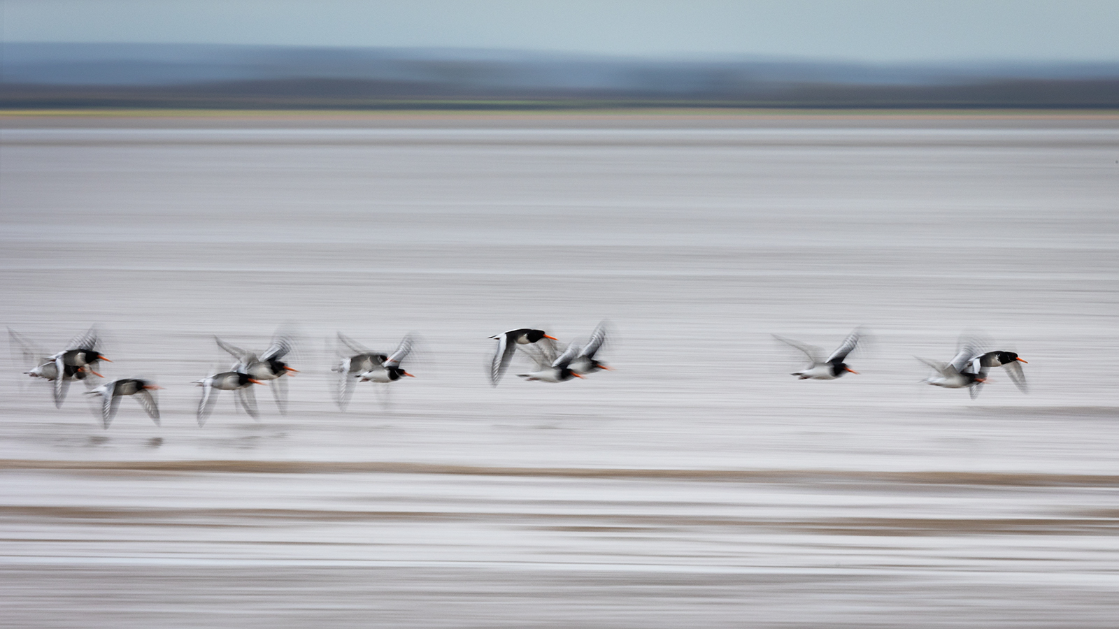 22. The Solway as tide comes in by Jean Robson ARPS