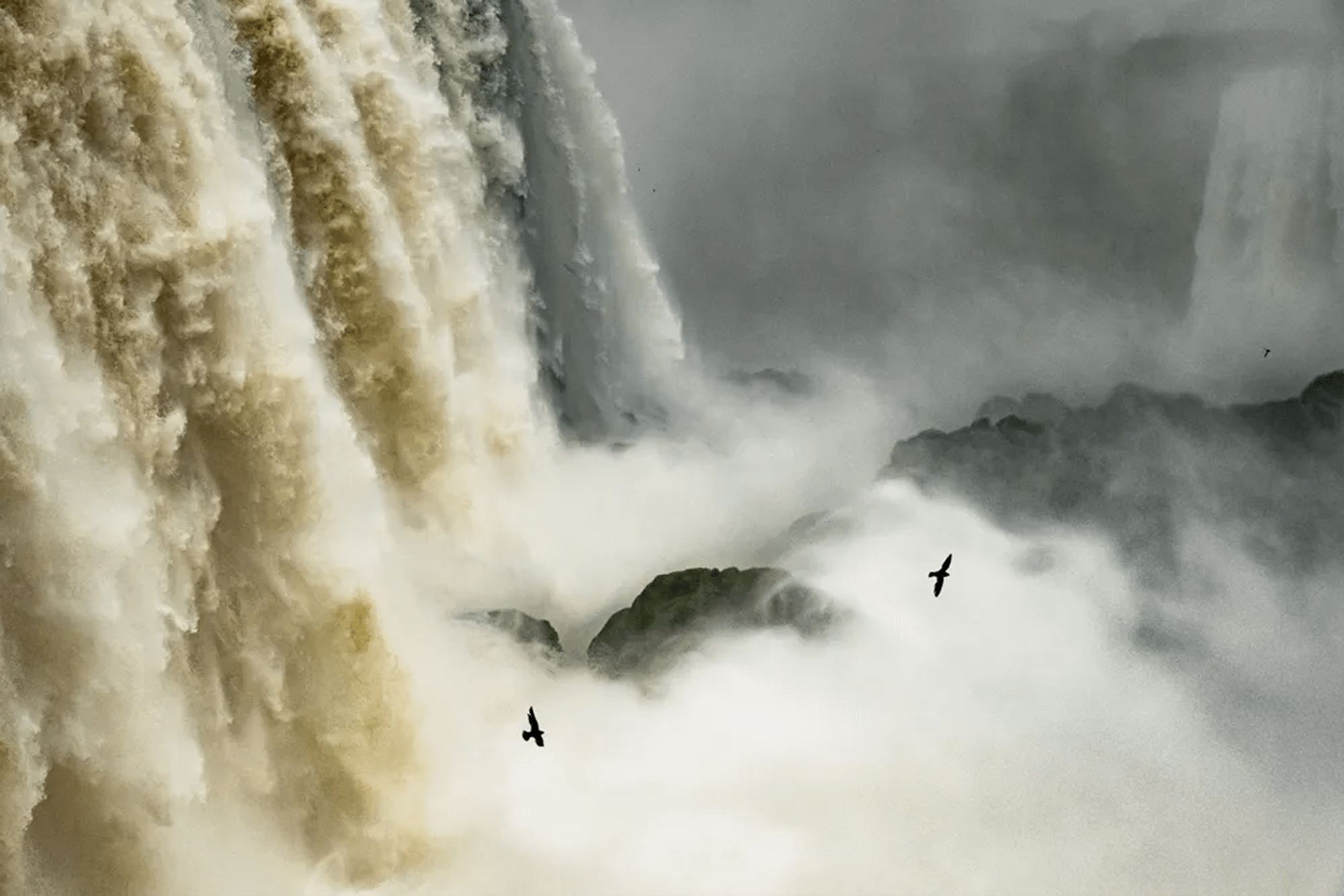 9. PS Winner, Rising Talent – Sue O'connell Low Res