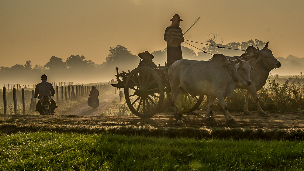 Off To Work, Mandalay, Myanmar by Jane Tearle