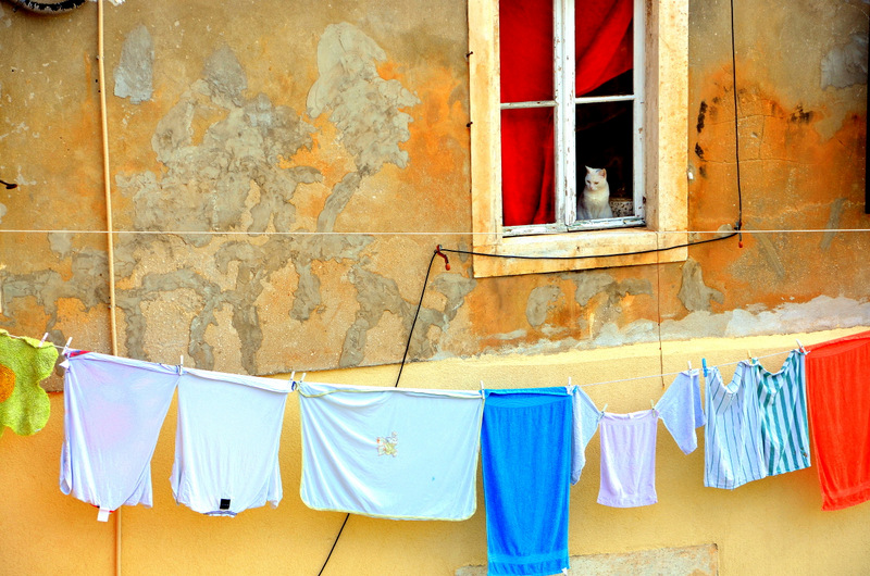 Dubrovnic Gazing Out By Catherine Bohemier Canada