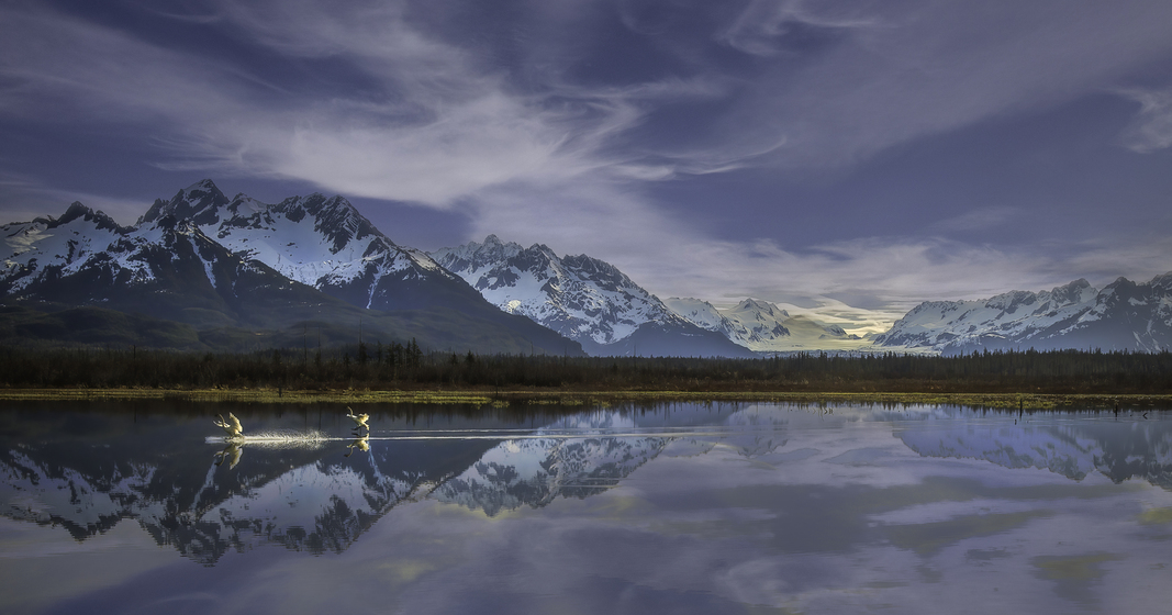 Copper River Alaska Peter Stott