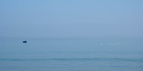 Fishing The Big Blue, Tangier Bay