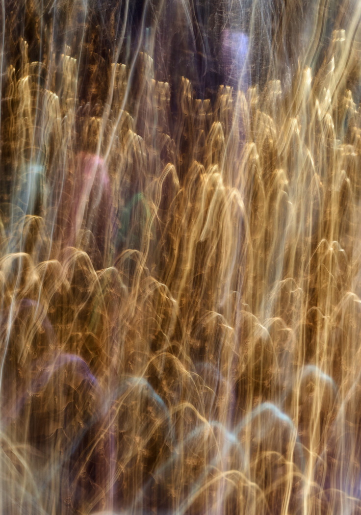 2511 Steve Oakes Ghosts