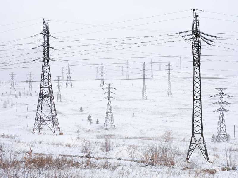 1506 Forest By Dmitriy Kochergin