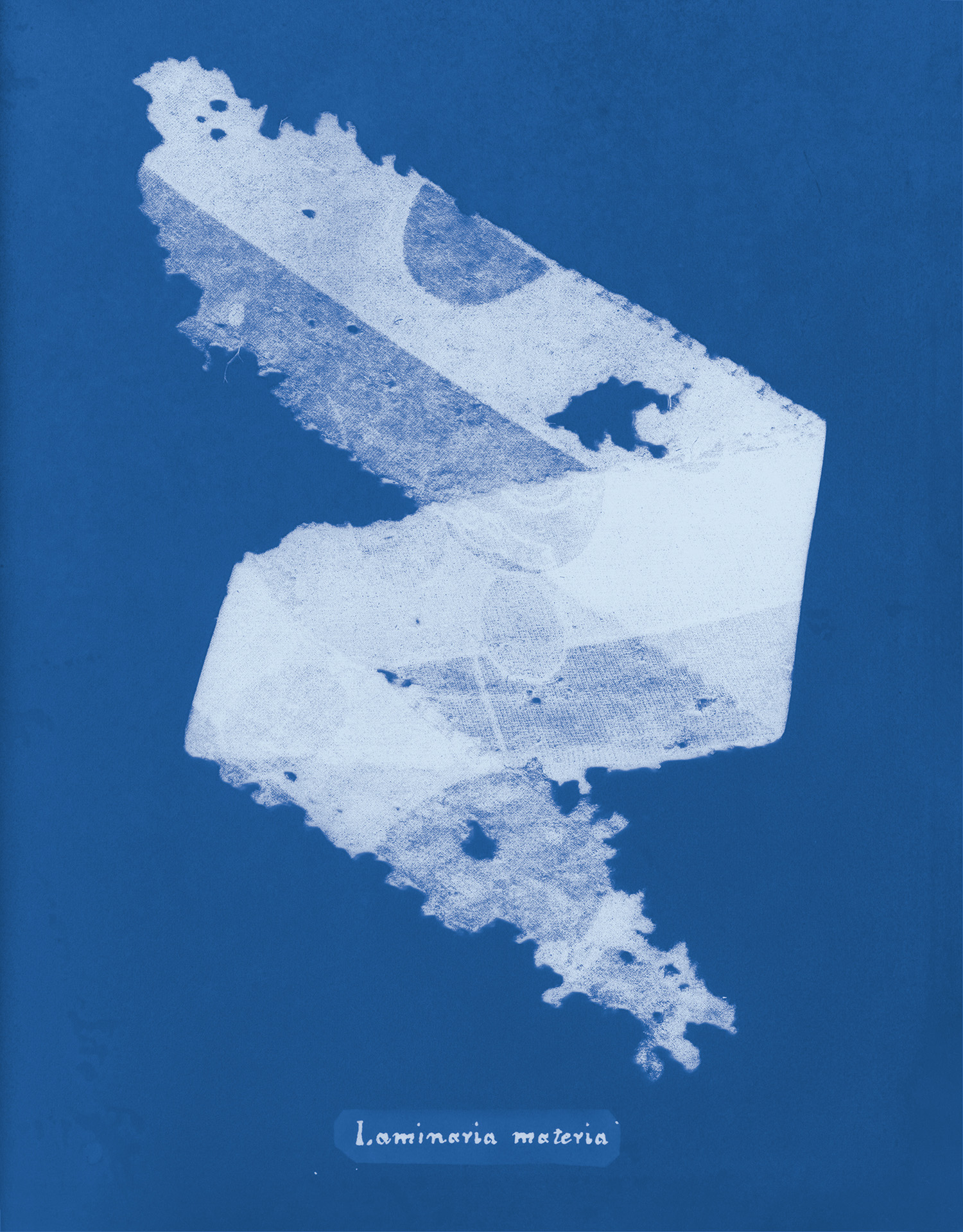 Web Patterned Blouse