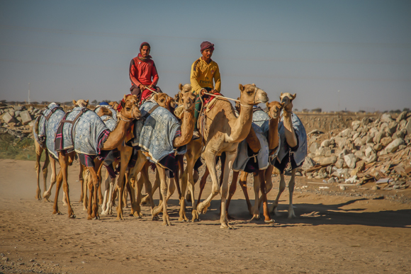 Morning Exercise, Oman