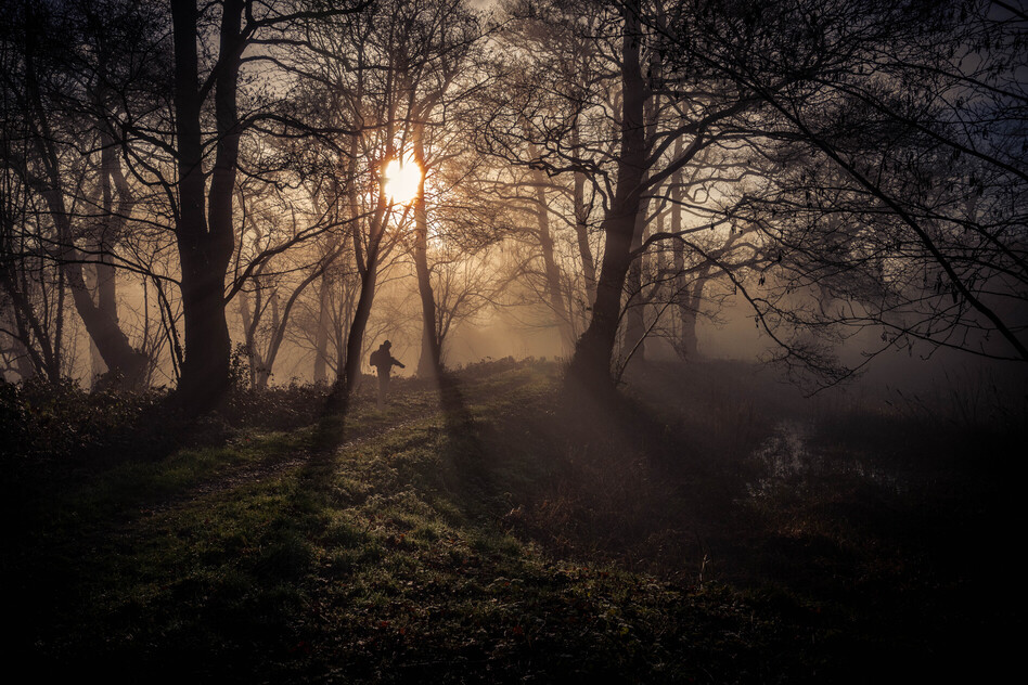 In The Mist