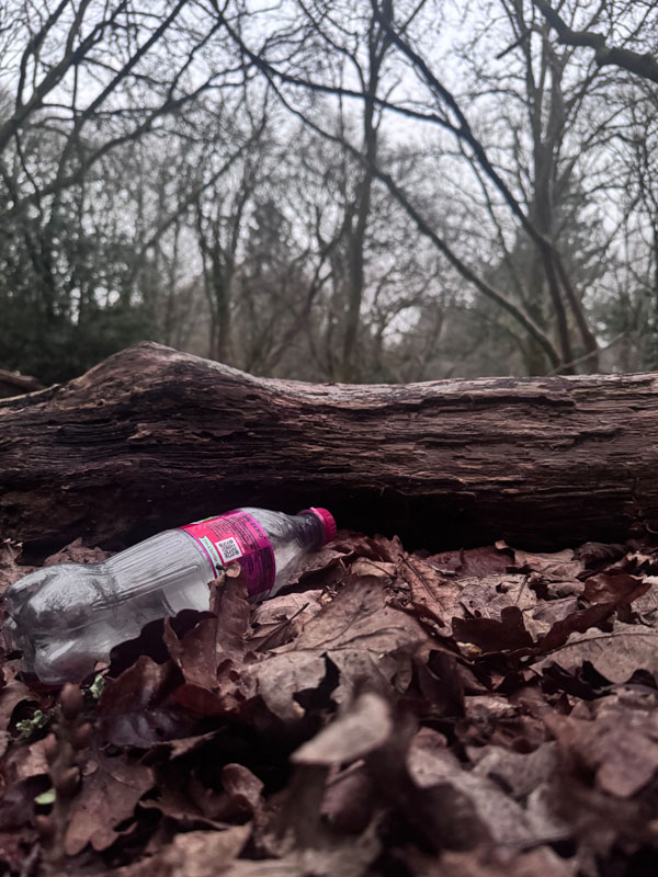 Lily Rose, St Mark's Junior School