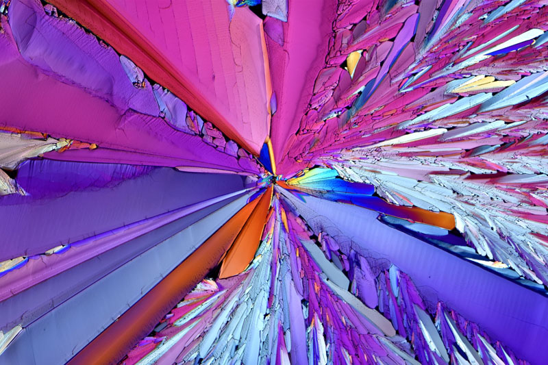 Bernardo Cesare ASIS FRPS Science Of Everyday Life