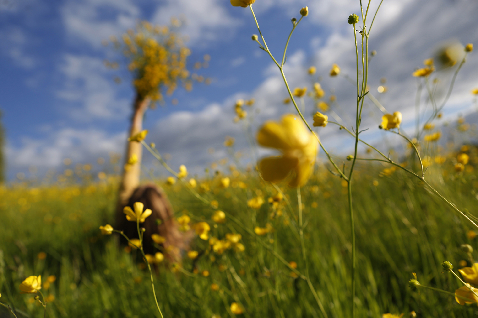 5457680 Liv Mann Trembay Is All You Need