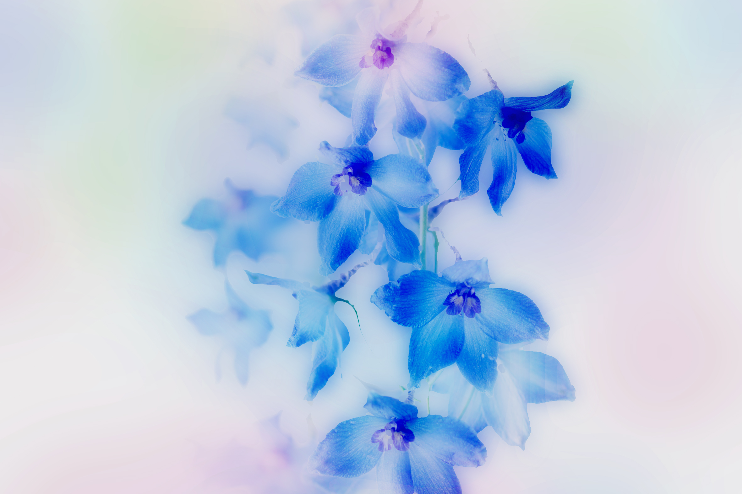 RPS Session 2 Celia Henderson V 2