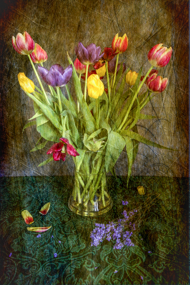 Faded Glory Gill Davies