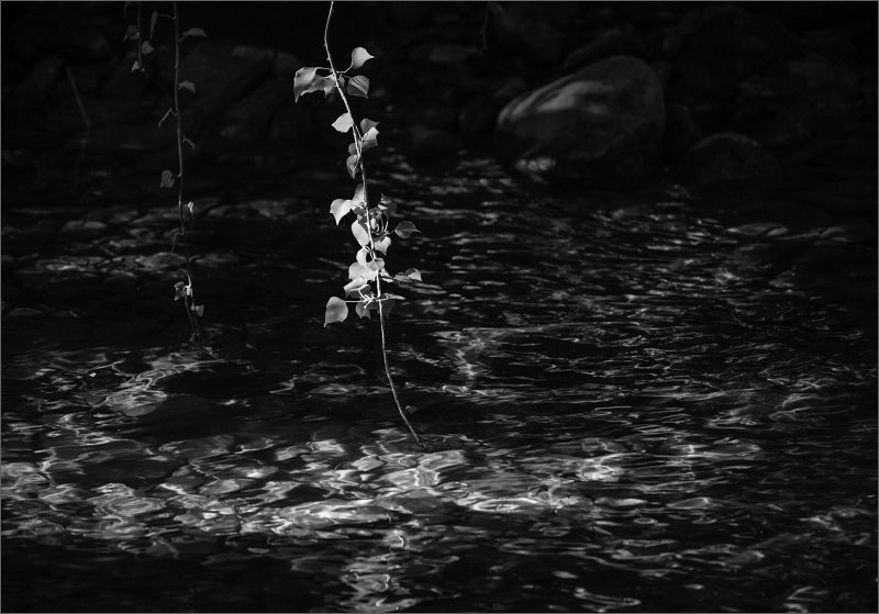 2510 Jan Harris Over The River For Web