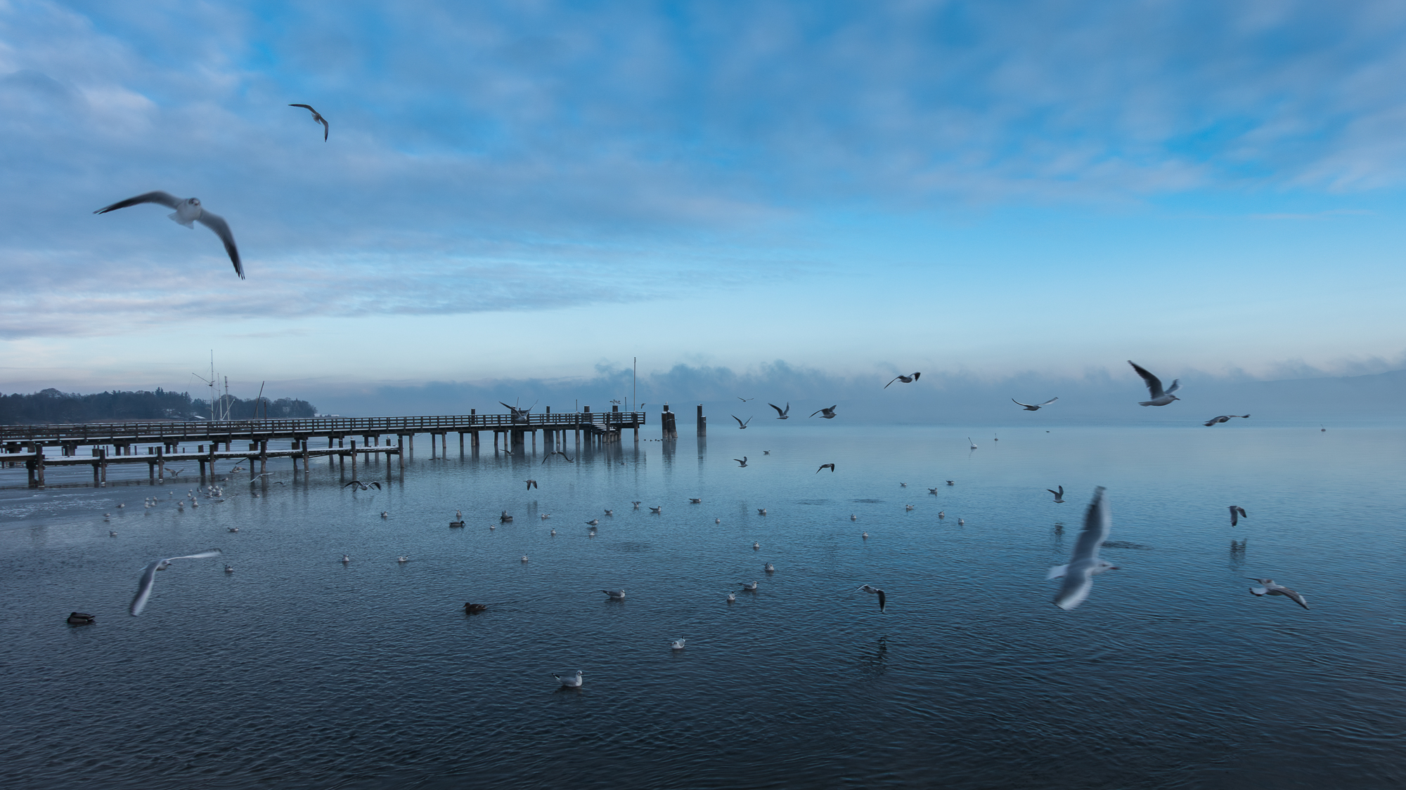 4877498 Elliot Banks Blue Morning In Ammersee