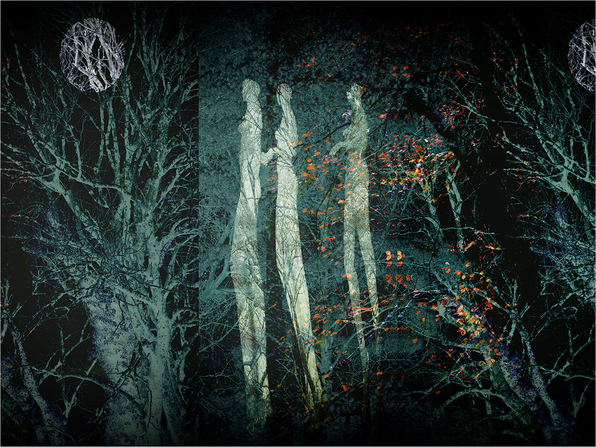 1200 4 Mother Nature Freedom To Roam Janet Murphy