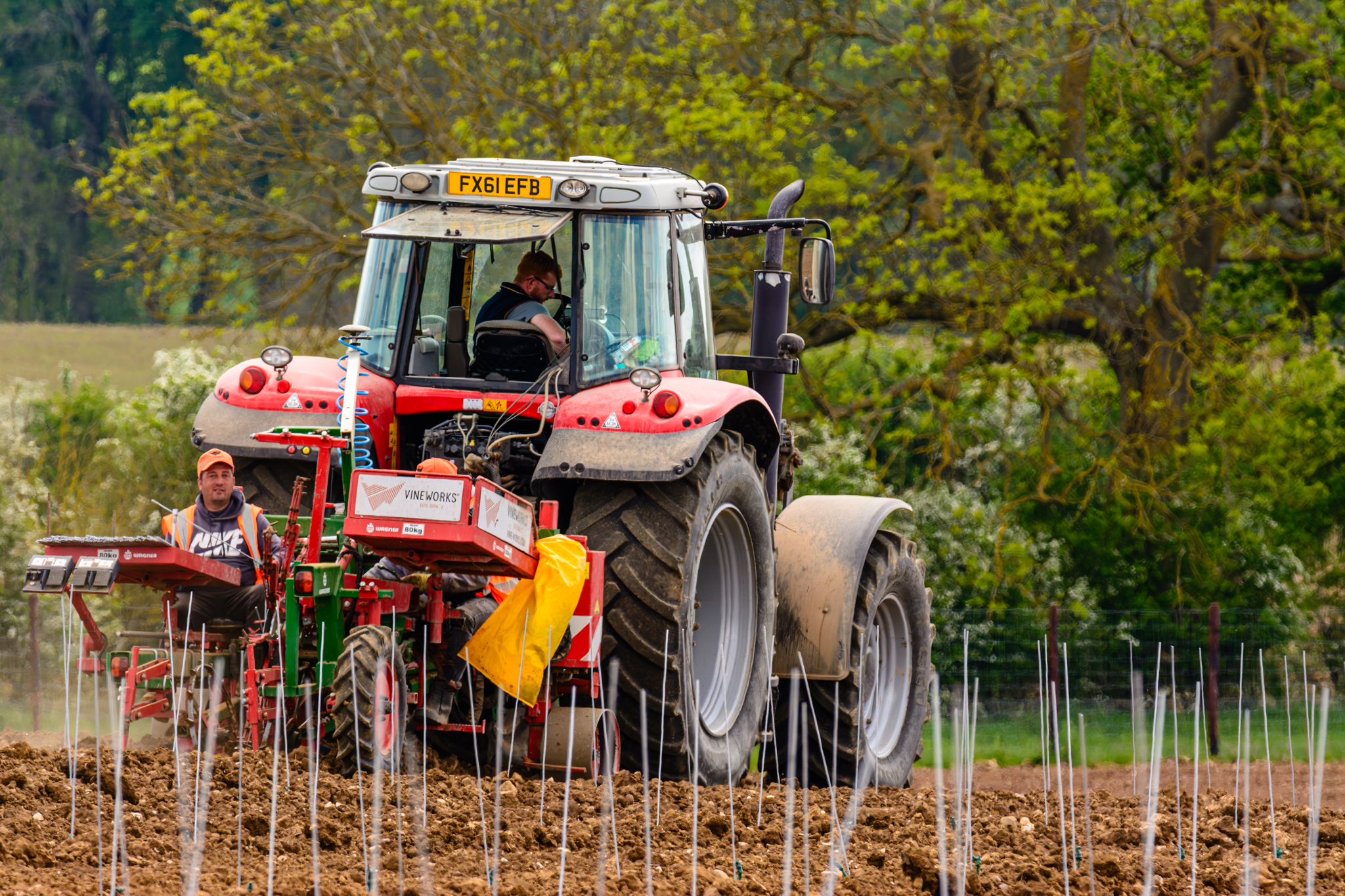 Tractor with vine planting team