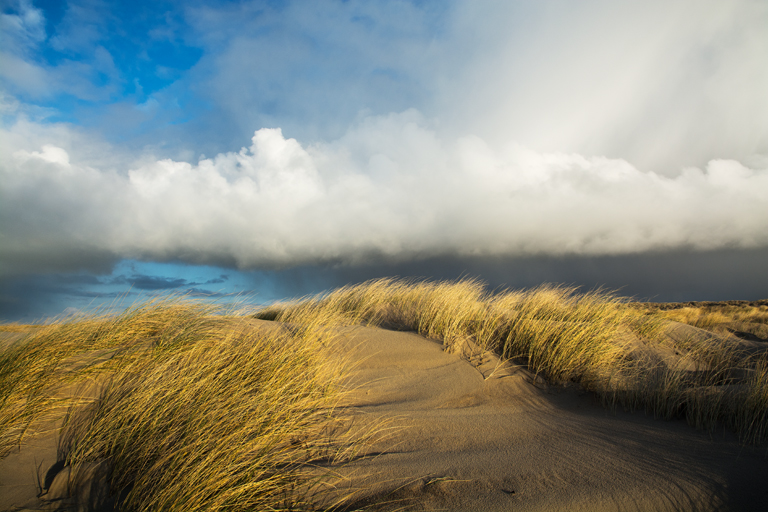 Suegoldberg Card LRPS 03